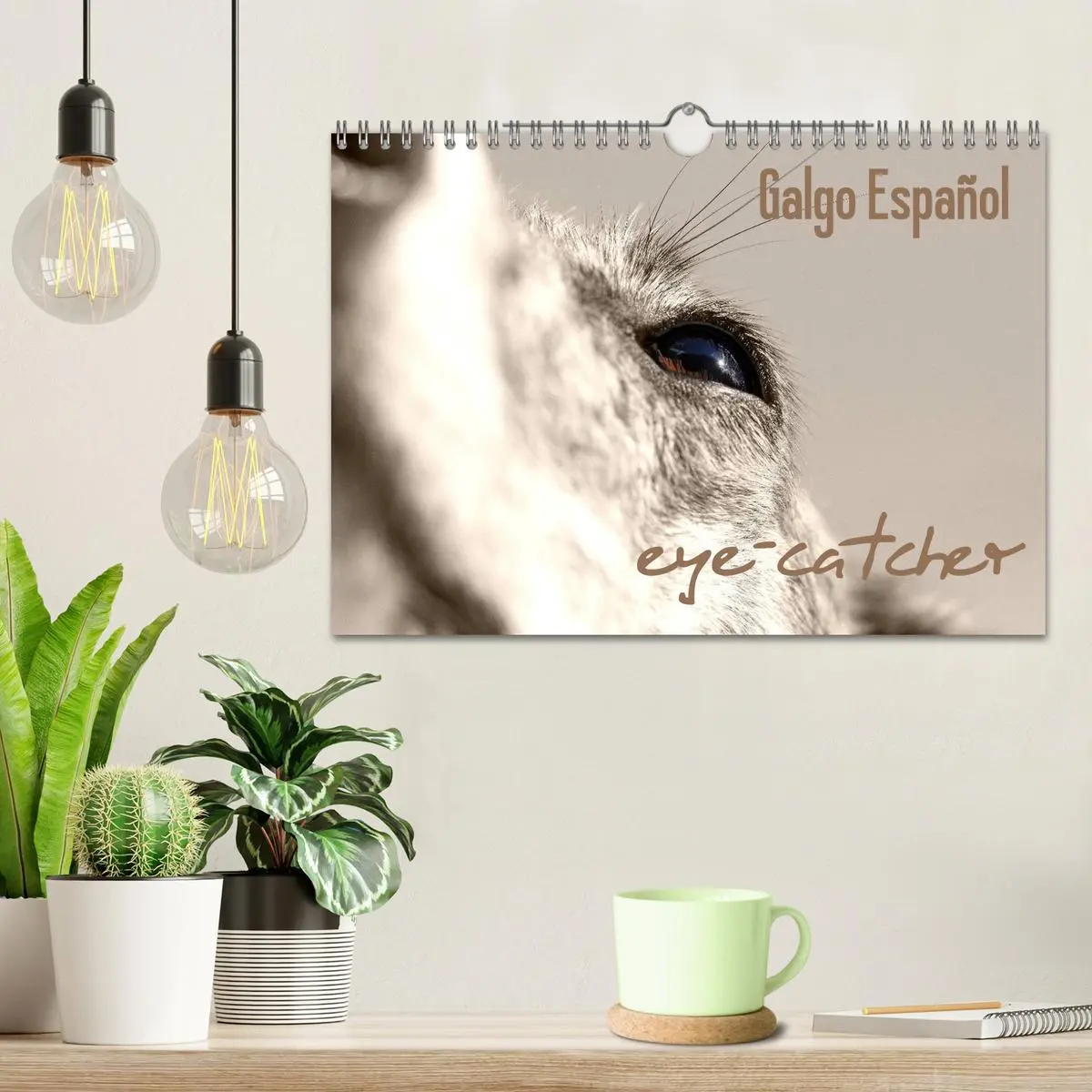 Bild: 9783457979952 | Galgo eye-catcher (Wandkalender 2026 DIN A4 quer), CALVENDO...