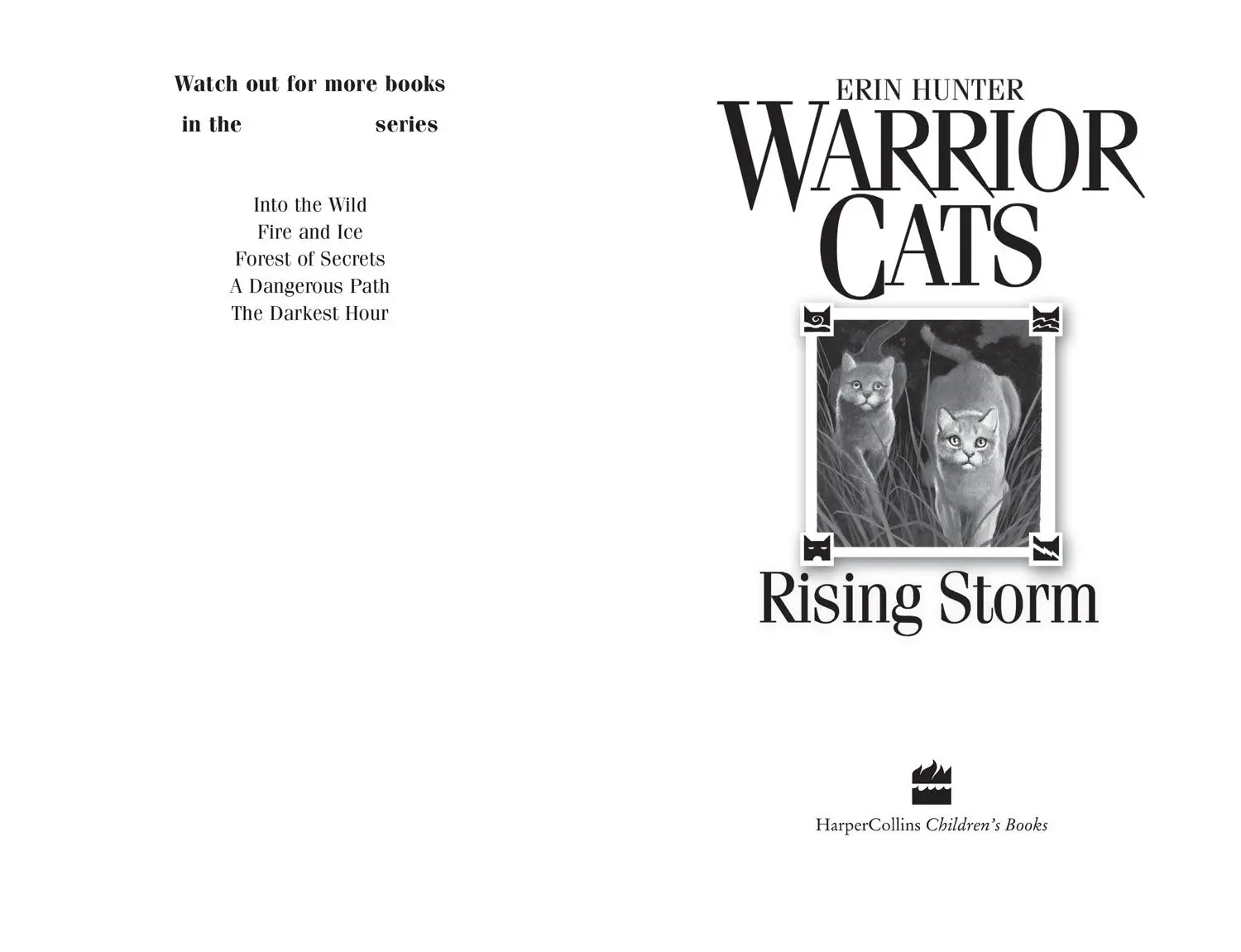 Bild: 9780007140053 | Rising Storm | Erin Hunter | Taschenbuch | Kartoniert / Broschiert
