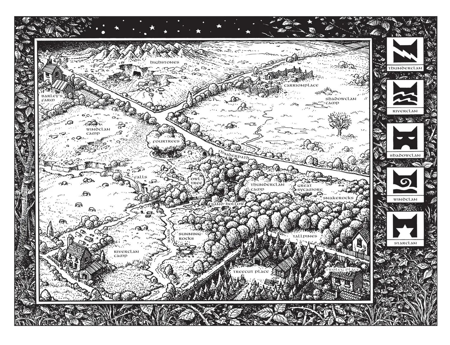 Bild: 9780007140053 | Rising Storm | Erin Hunter | Taschenbuch | Kartoniert / Broschiert