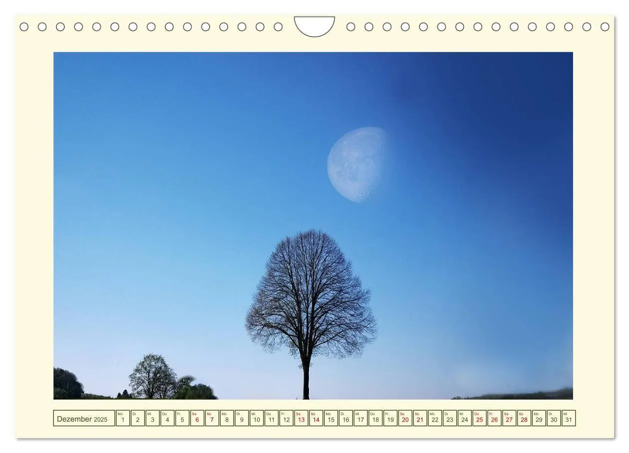 Bild: 9783435210053 | Mein schönes Land - Landliebe Wetterau (Wandkalender 2025 DIN A4...