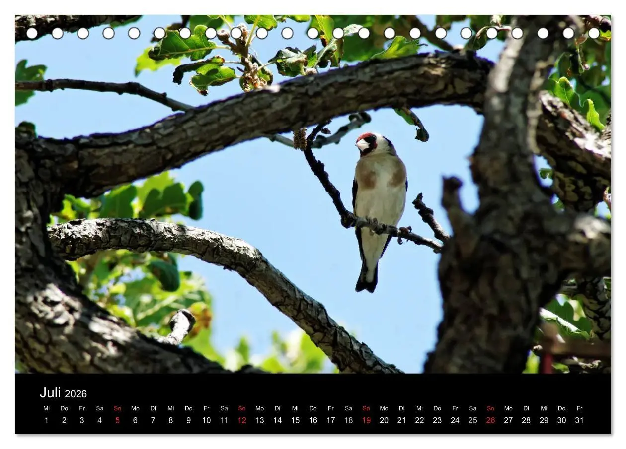 Bild: 9783516170153 | Kalabrien: Wo die Sonne Urlaub macht (Tischkalender 2026 DIN A5...