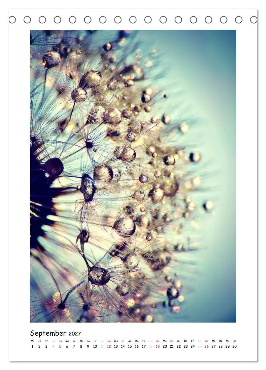 Bild: 9783594080153 | Die Pusteblume neu erleben (Tischkalender 2027 DIN A5 hoch),...
