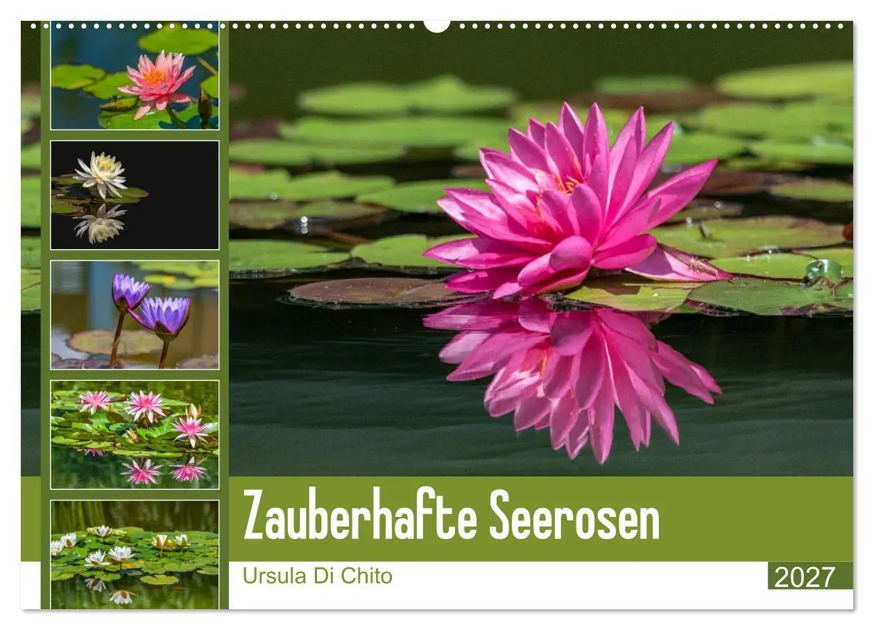 Cover: 9783569630253 | Zauberhafte Seerosen (Wandkalender 2027 DIN A2 quer), CALVENDO...