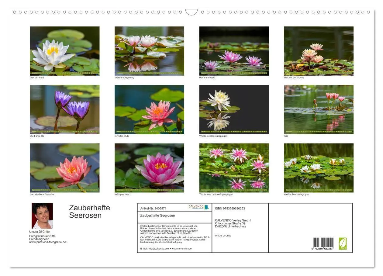 Bild: 9783569630253 | Zauberhafte Seerosen (Wandkalender 2027 DIN A2 quer), CALVENDO...