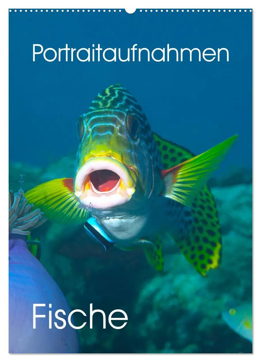 Cover: 9783516390353 | Portraitaufnahmen - Fische (Wandkalender 2026 DIN A2 hoch),...