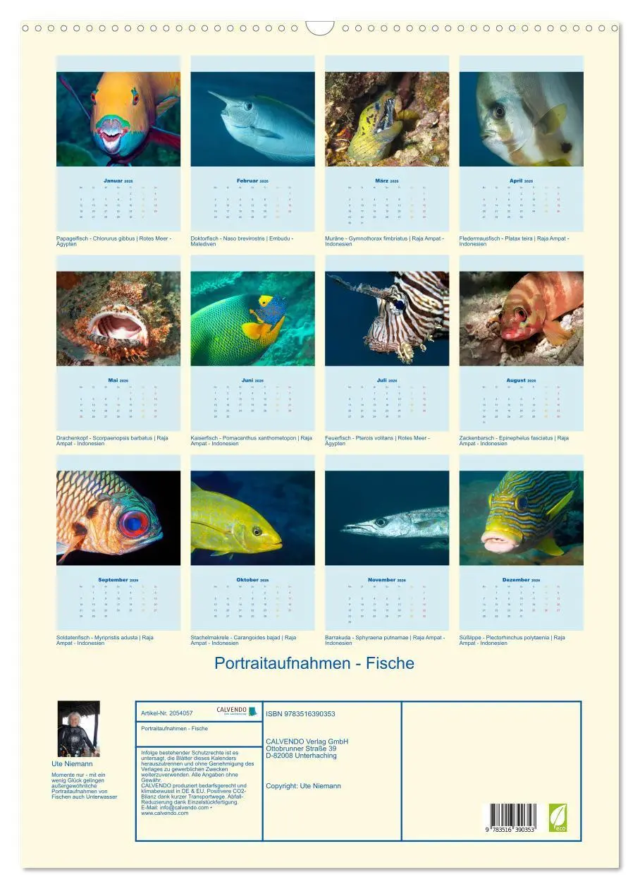 Bild: 9783516390353 | Portraitaufnahmen - Fische (Wandkalender 2026 DIN A2 hoch),...