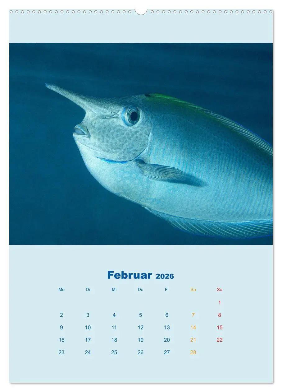 Bild: 9783516390353 | Portraitaufnahmen - Fische (Wandkalender 2026 DIN A2 hoch),...