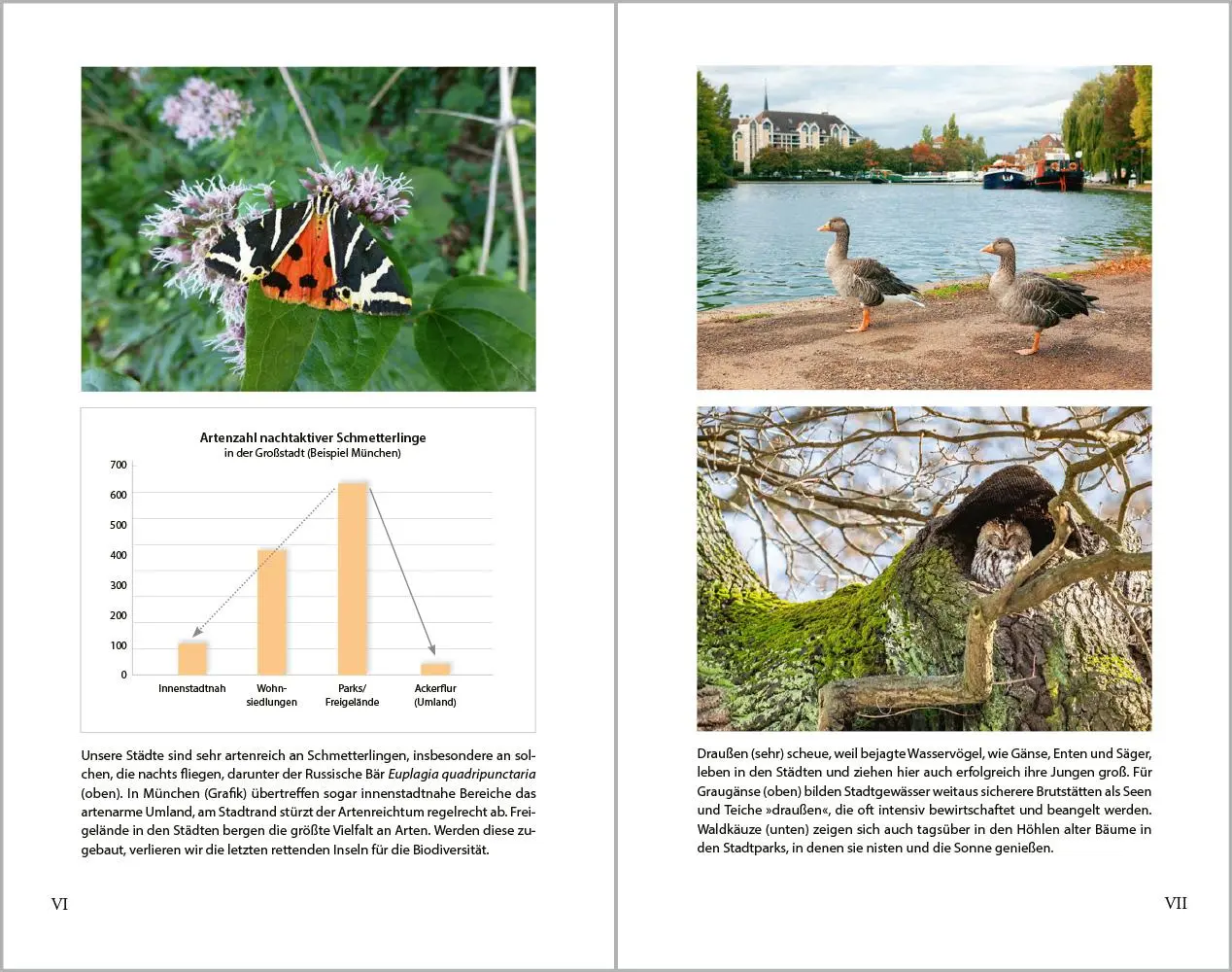 Bild: 9783987260353 | Stadtnatur | Josef H. Reichholf | Buch | 172 S. | Deutsch | 2023