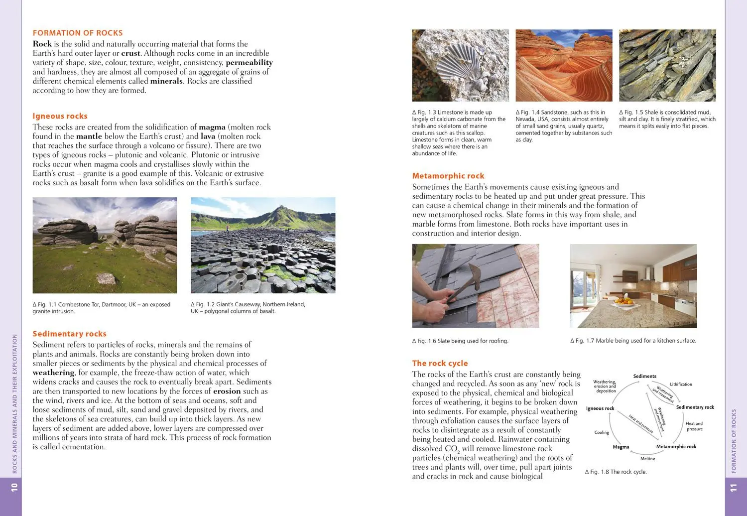 Bild: 9780008190453 | Cambridge Igcse(tm) Environmental Management Student's Book | Buch