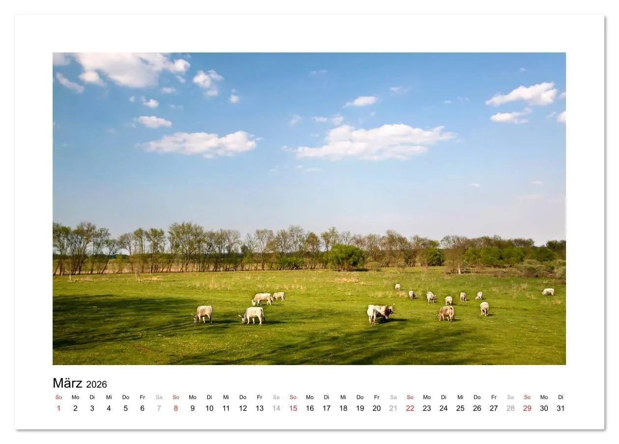 Bild: 9783516210453 | Westungarn - Schönheit und Geheimnis (Tischkalender 2026 DIN A5...