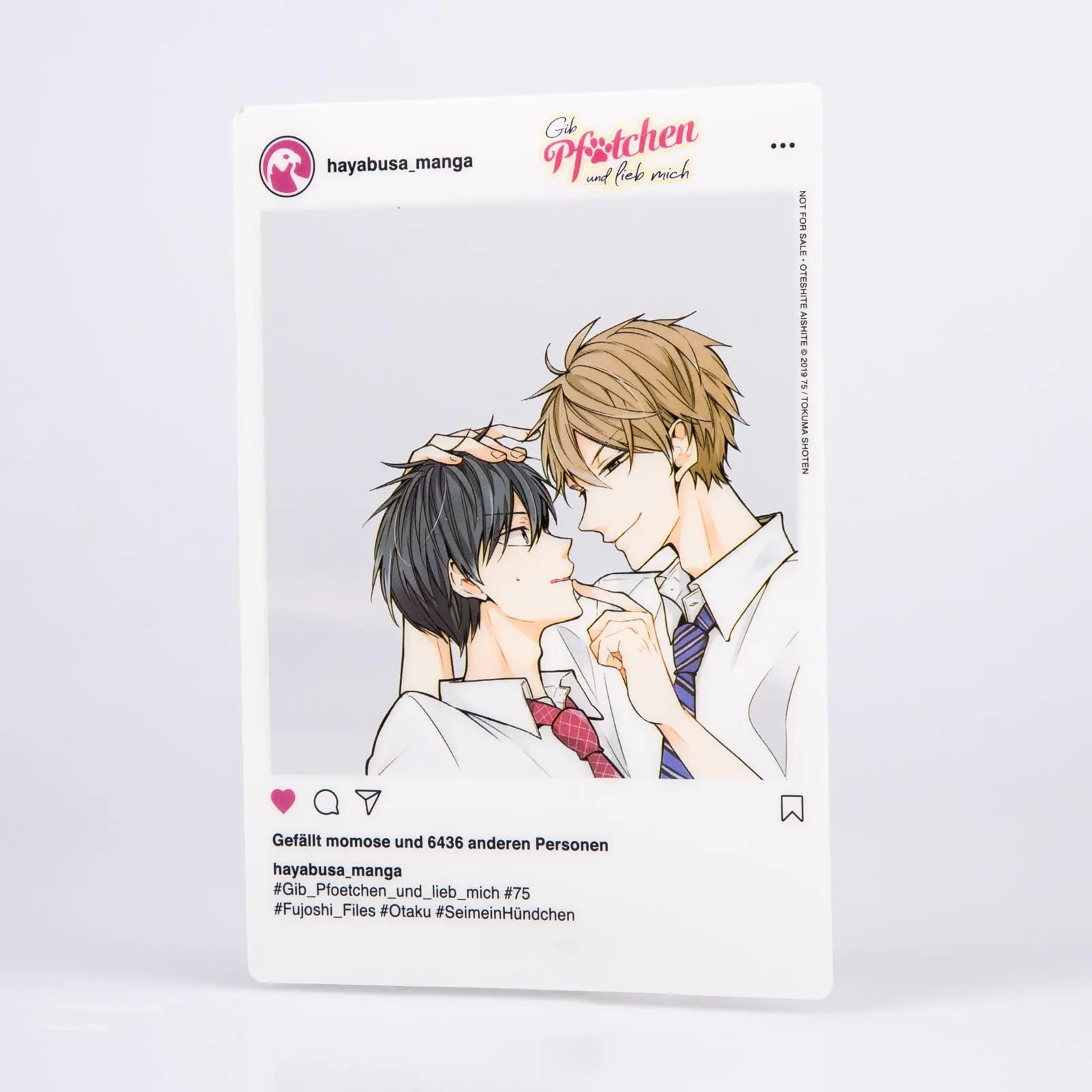 Bild: 9783551620453 | Gib Pfötchen und lieb mich! | 75 | Taschenbuch | Hayabusa | 180 S.