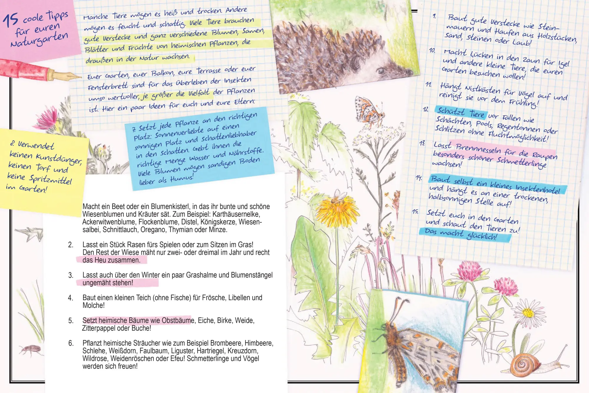 Bild: 9783903300453 | Tim, der Schmetterlingsforscher | Marion Jaros | Buch | 89 S. | 2022
