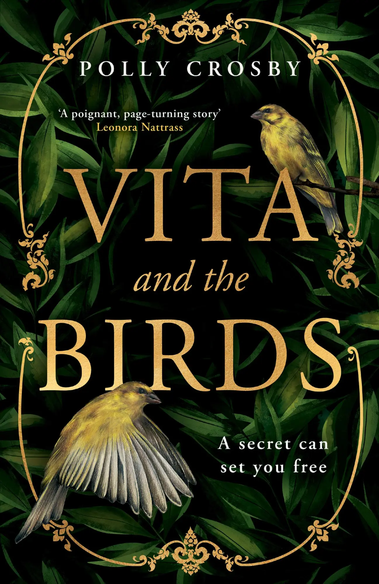 Cover: 9780008550653 | Vita and the Birds | Polly Crosby | Taschenbuch | Englisch | 2023