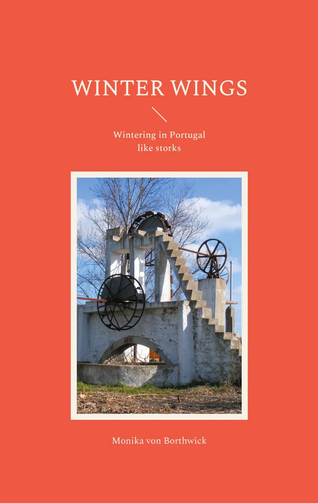 Cover: 9783755710653 | Winter Wings | Wintering in Portugal like storks | Borthwick | Buch