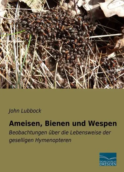 Cover: 9783956920653 | Ameisen, Bienen und Wespen | John Lubbock | Taschenbuch | Paperback