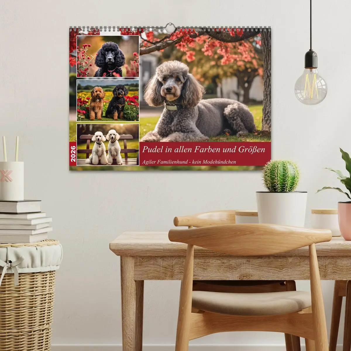 Bild: 9783457400753 | Pudel in allen Farben und Größen (Wandkalender 2026 DIN A3 quer),...