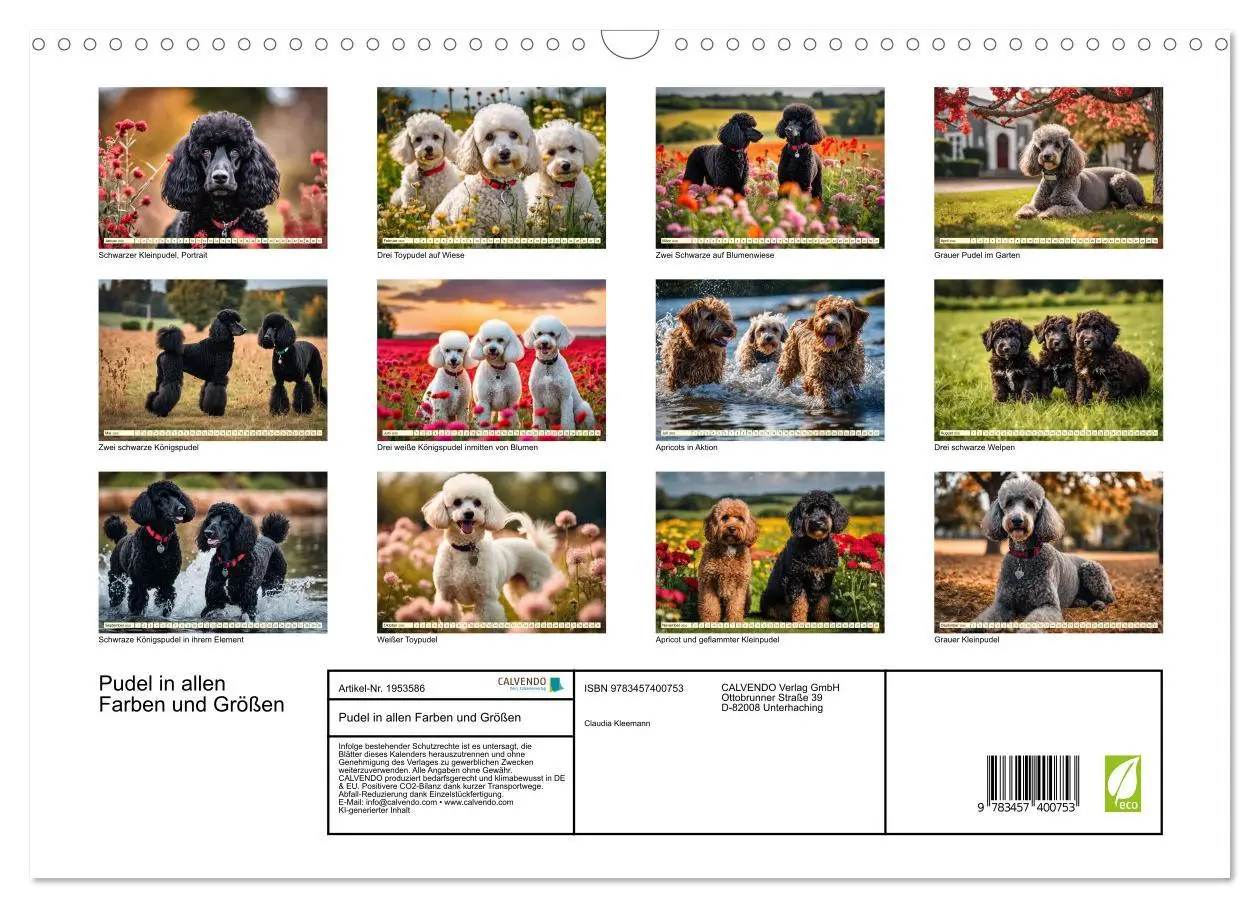 Bild: 9783457400753 | Pudel in allen Farben und Größen (Wandkalender 2026 DIN A3 quer),...