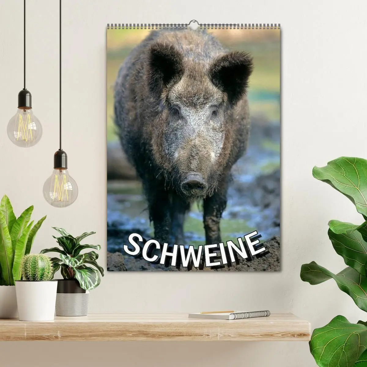 Bild: 9783594190753 | Schweine 2027 (Wandkalender 2027 DIN A2 hoch), CALVENDO Monatskalender