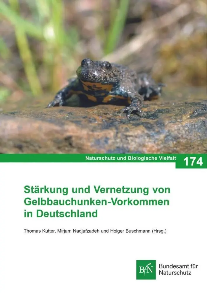 Cover: 9783784340753 | NaBiV Heft 174 Stärkung und Vernetzung von Gelbbauchunken-Vorkommen...