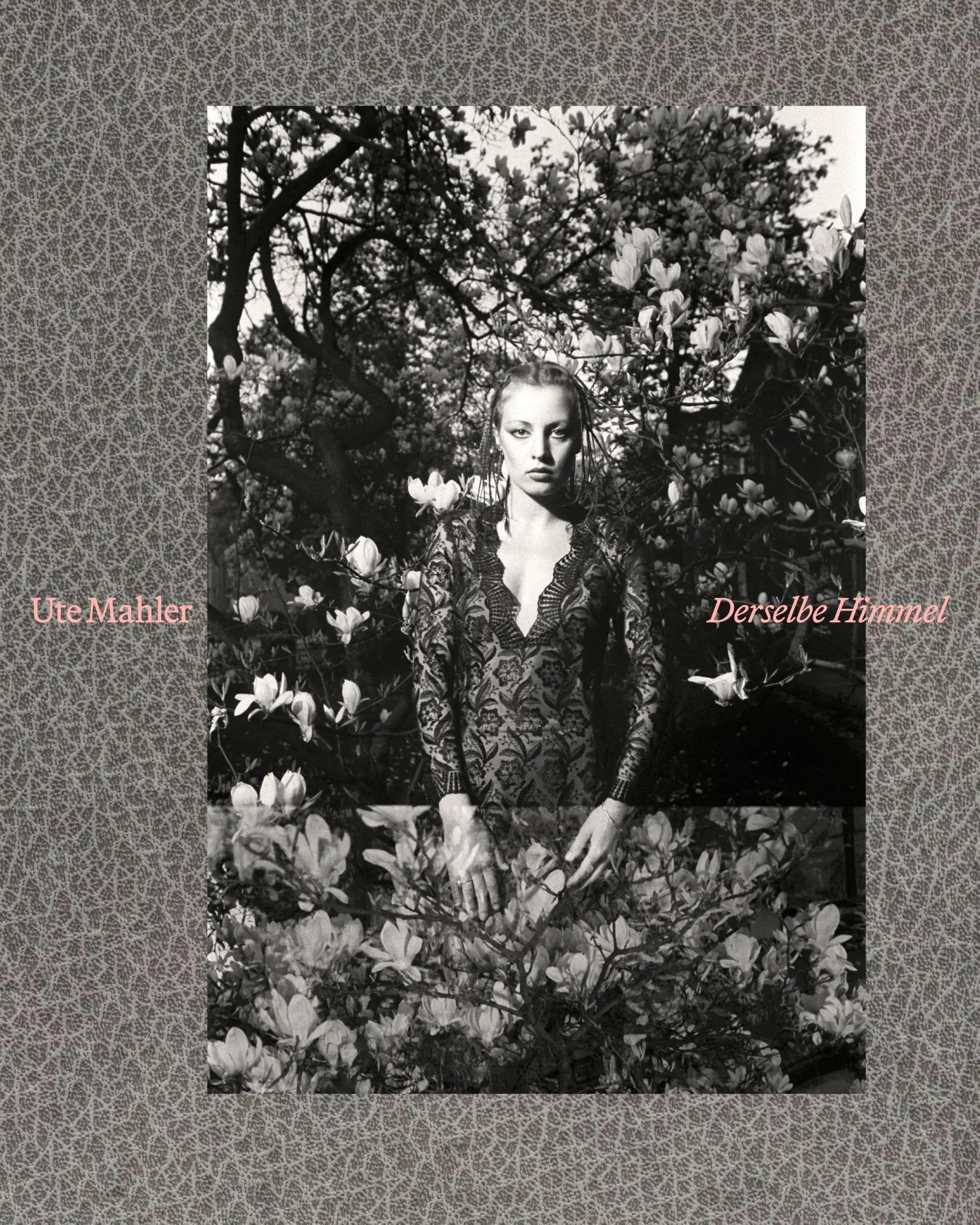 Cover: 9783960700753 | Ute Mahler Derselbe Himmel | Annett Gröschner (u. a.) | Buch | 292 S.