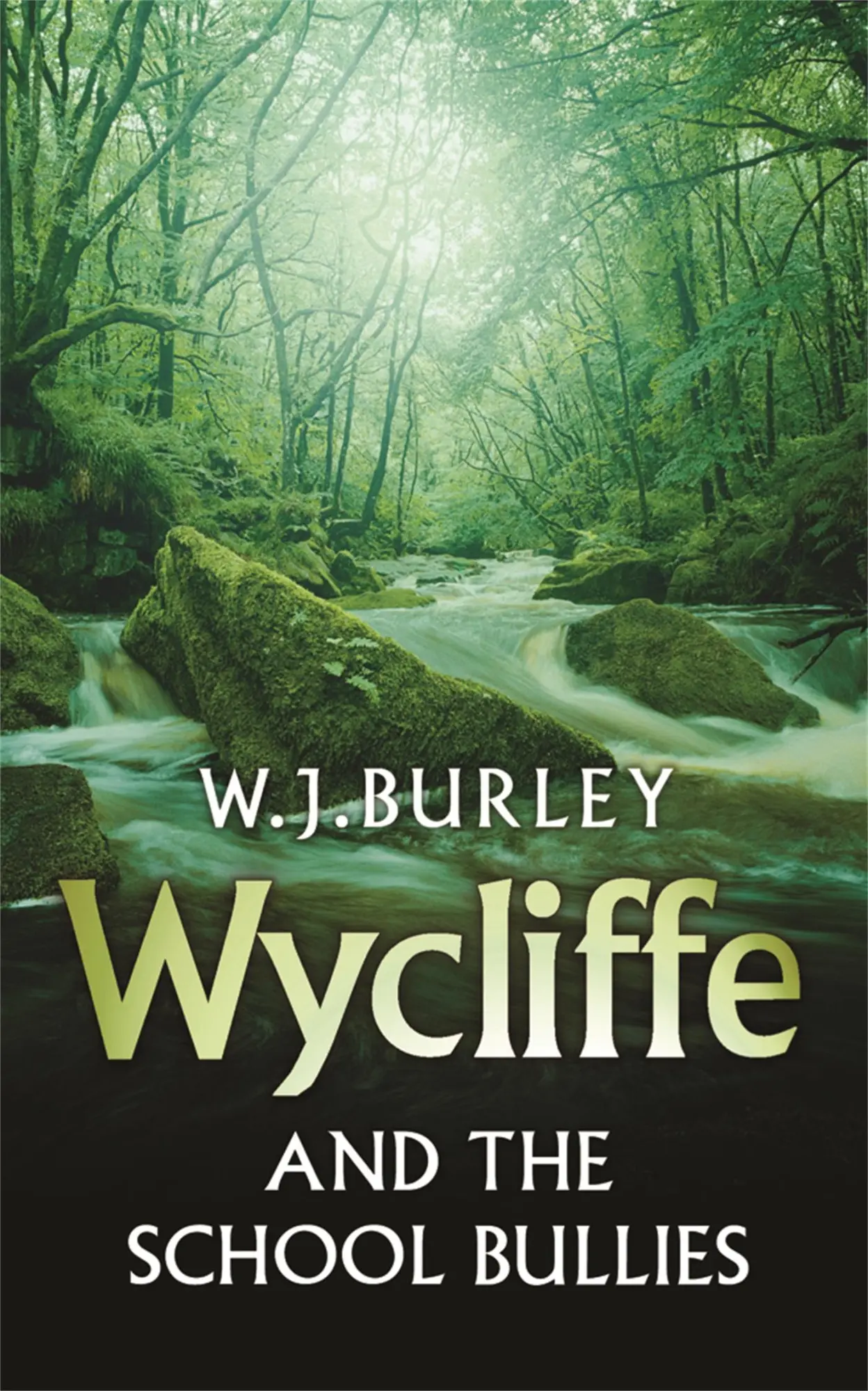 Cover: 9780752880853 | Wycliffe and the School Bullies | W. J. Burley | Taschenbuch | 2006