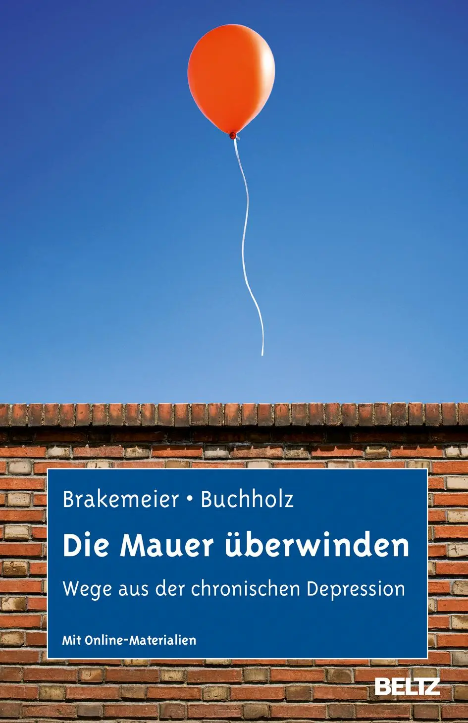 Cover: 9783621280853 | Die Mauer überwinden | Eva-Lotta Brakemeier (u. a.) | Buch | 219 S.