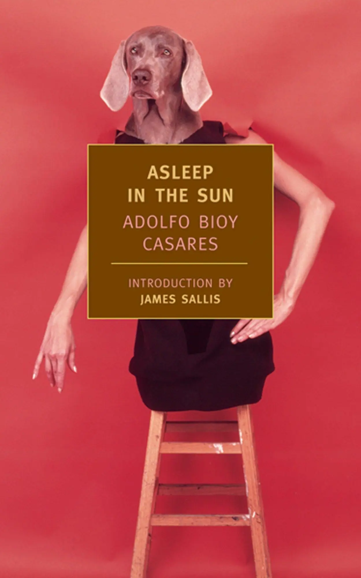Cover: 9781590170953 | Asleep in the Sun | Adolfo Bioy Casares | Taschenbuch | Englisch