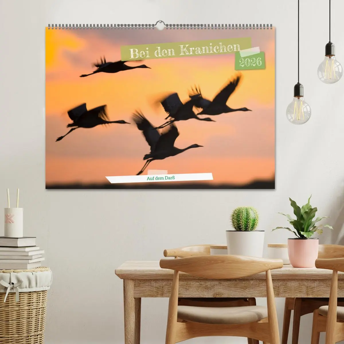 Bild: 9783457550953 | Bei den Kranichen (Wandkalender 2026 DIN A2 quer), CALVENDO...