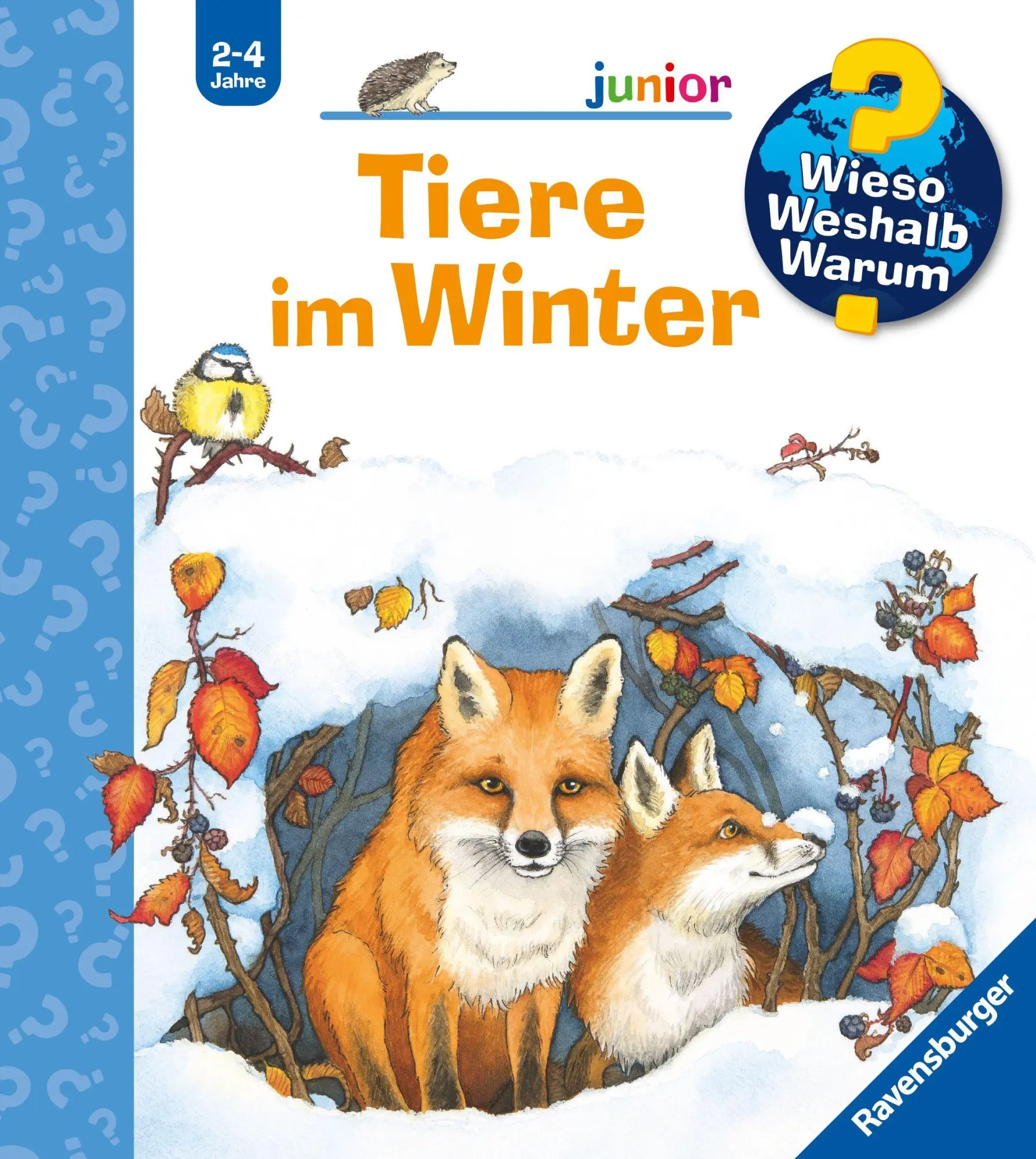 Cover: 9783473600953 | Wieso? Weshalb? Warum? junior, Band 31 - Tiere im Winter | Andrea Erne