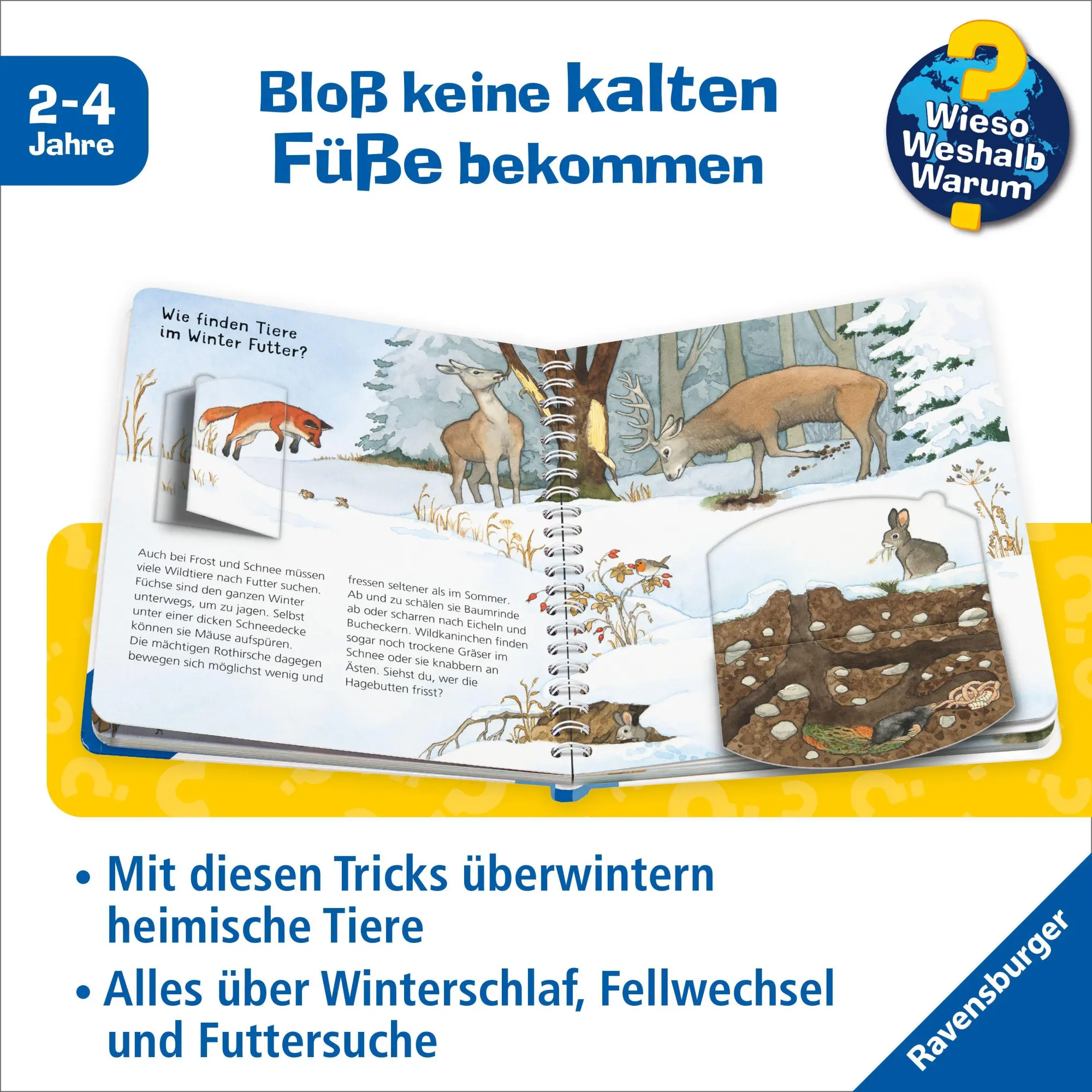 Bild: 9783473600953 | Wieso? Weshalb? Warum? junior, Band 31 - Tiere im Winter | Andrea Erne