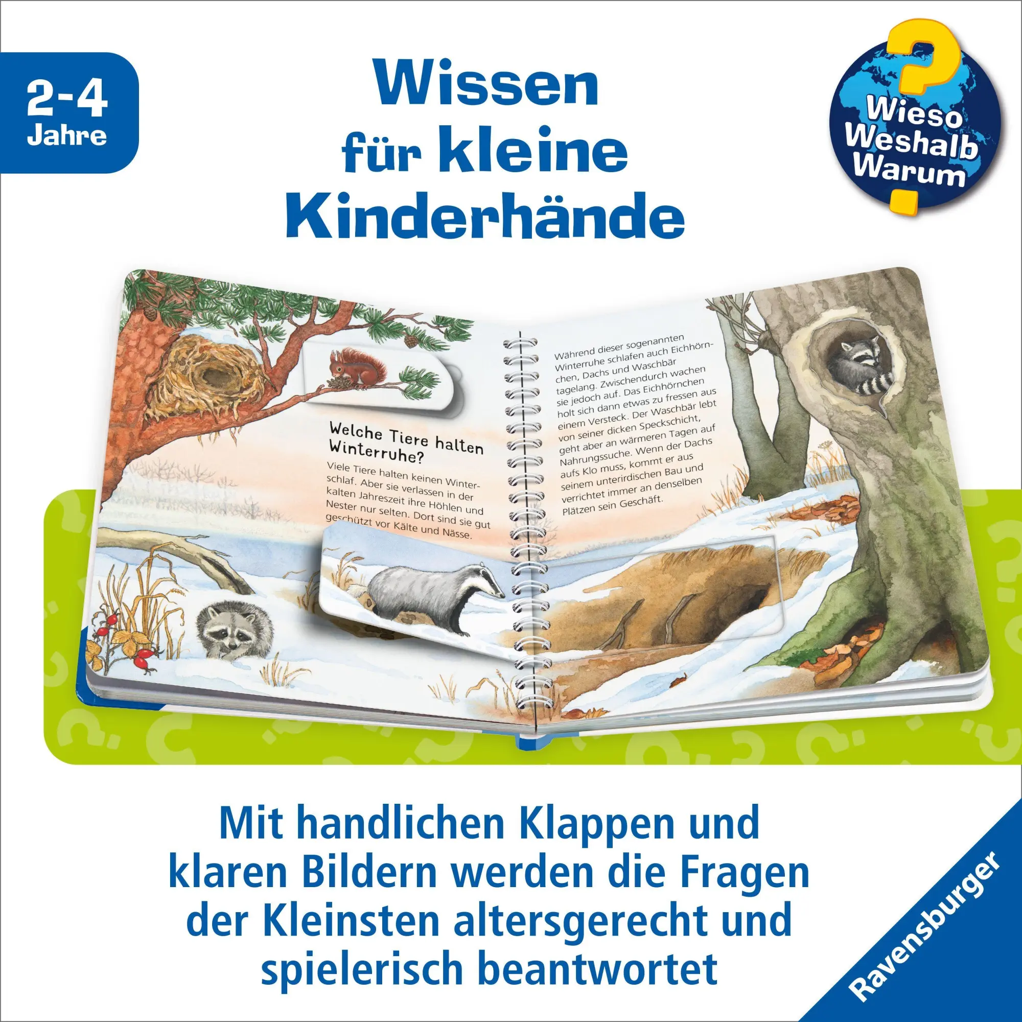 Bild: 9783473600953 | Wieso? Weshalb? Warum? junior, Band 31 - Tiere im Winter | Andrea Erne