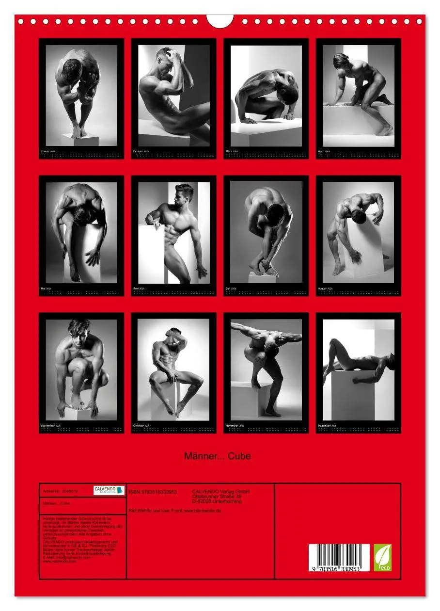 Bild: 9783516330953 | Männer... Cube (Wandkalender 2026 DIN A3 hoch), CALVENDO...