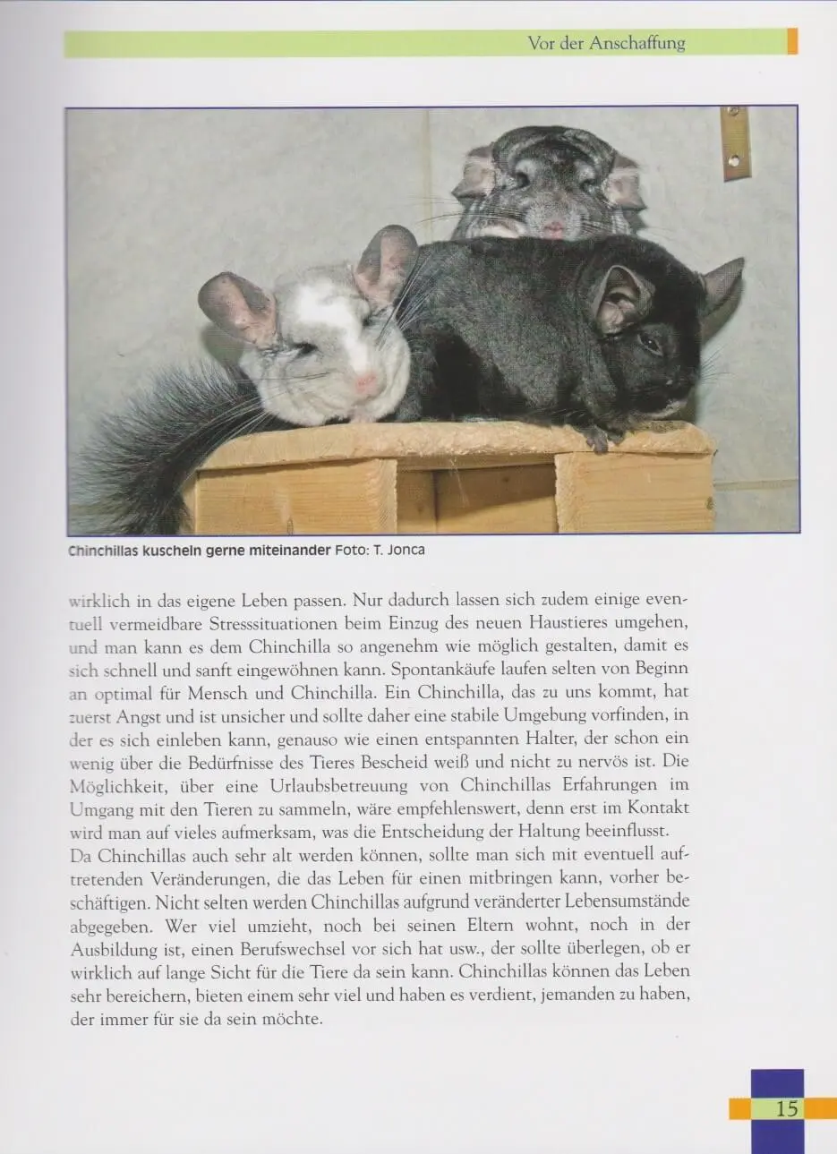 Bild: 9783866590953 | Leben mit Chinchillas | Tatjana Jonca | Taschenbuch | NTV Kleinsäuger