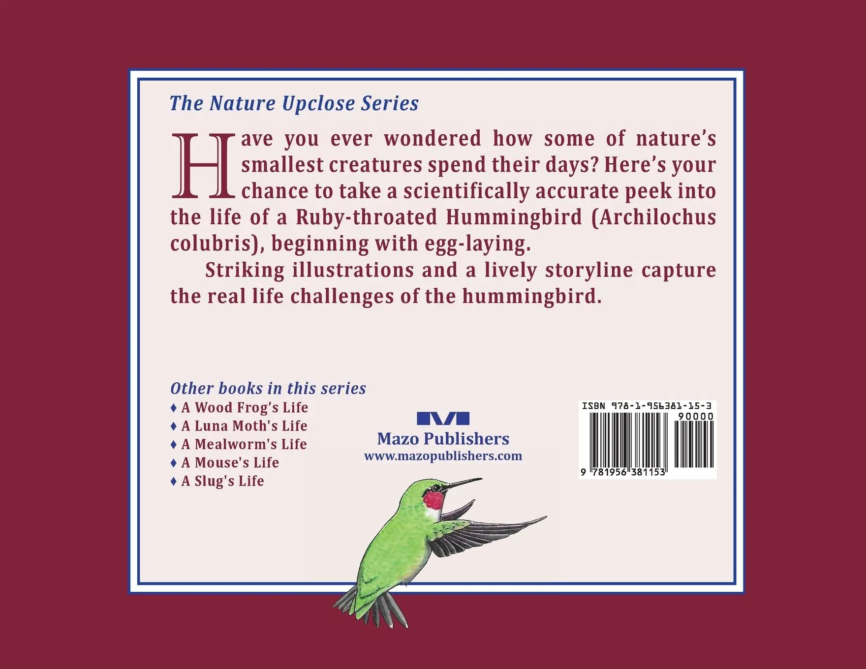 Rückseite: 9781956381153 | A Hummingbird's Life | John Himmelman | Taschenbuch | Englisch | 2022