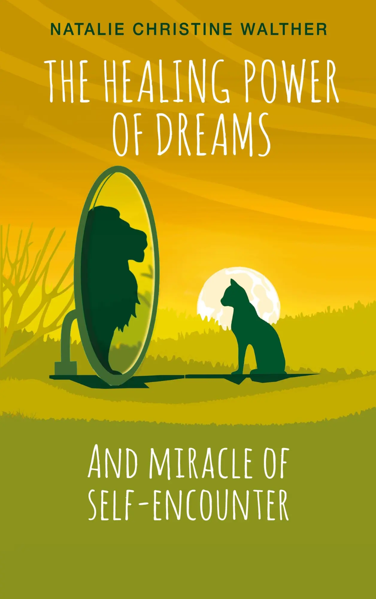 Cover: 9783734701153 | The Healing Power of Dreams | And miracle of self-encounter | Walther