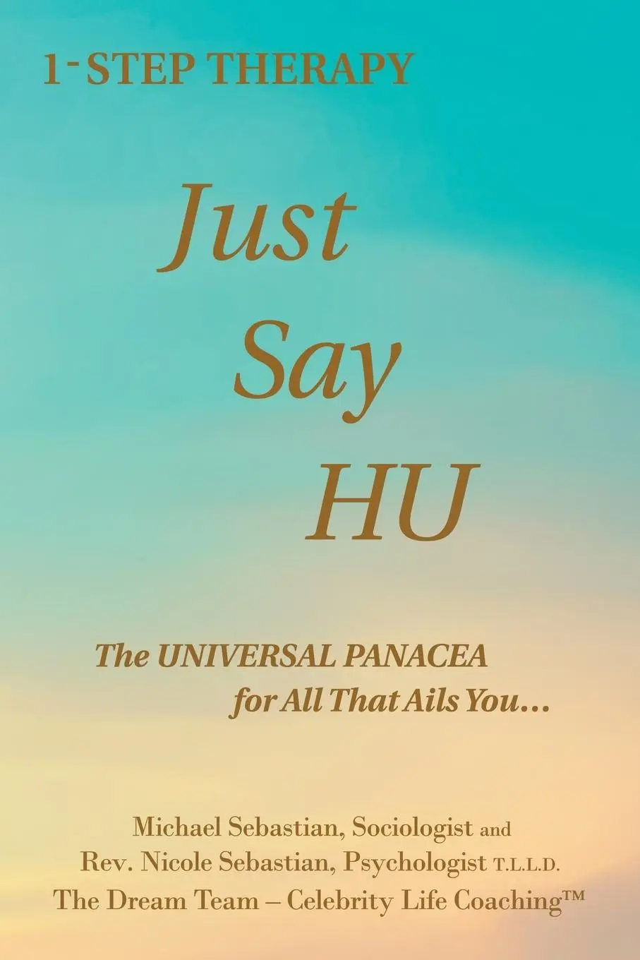 Cover: 9781438981253 | 1- Step Therapy Just Say Hu | Michael Sebastian (u. a.) | Taschenbuch