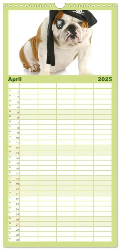 Bild: 9783457111253 | Familienplaner 2025 - English Bulldog XXL Models mit 5 Spalten...