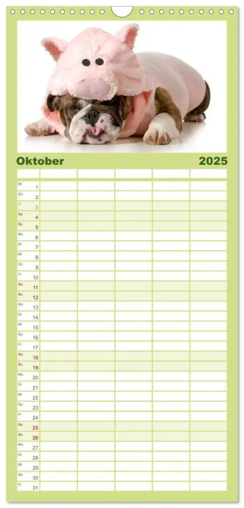 Bild: 9783457111253 | Familienplaner 2025 - English Bulldog XXL Models mit 5 Spalten...