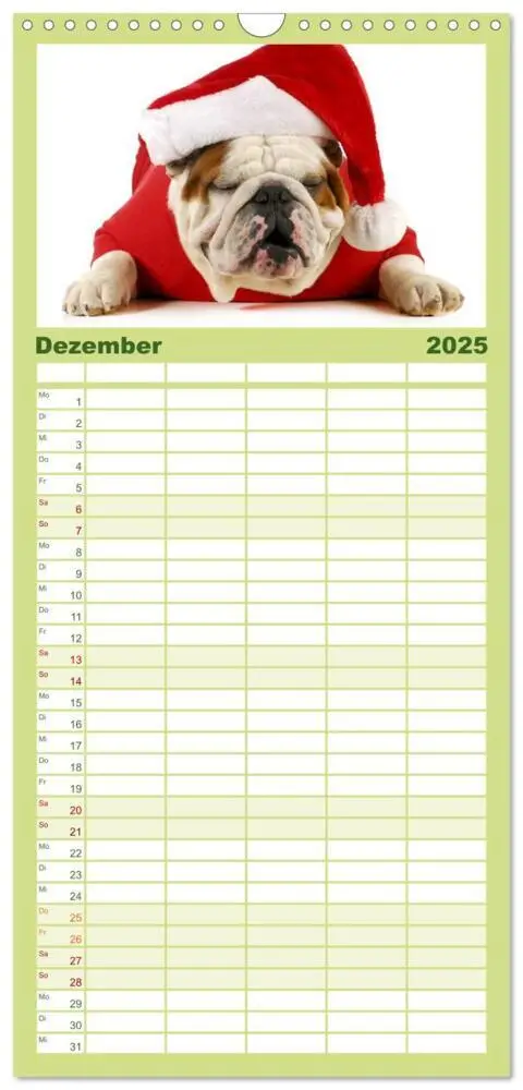 Bild: 9783457111253 | Familienplaner 2025 - English Bulldog XXL Models mit 5 Spalten...