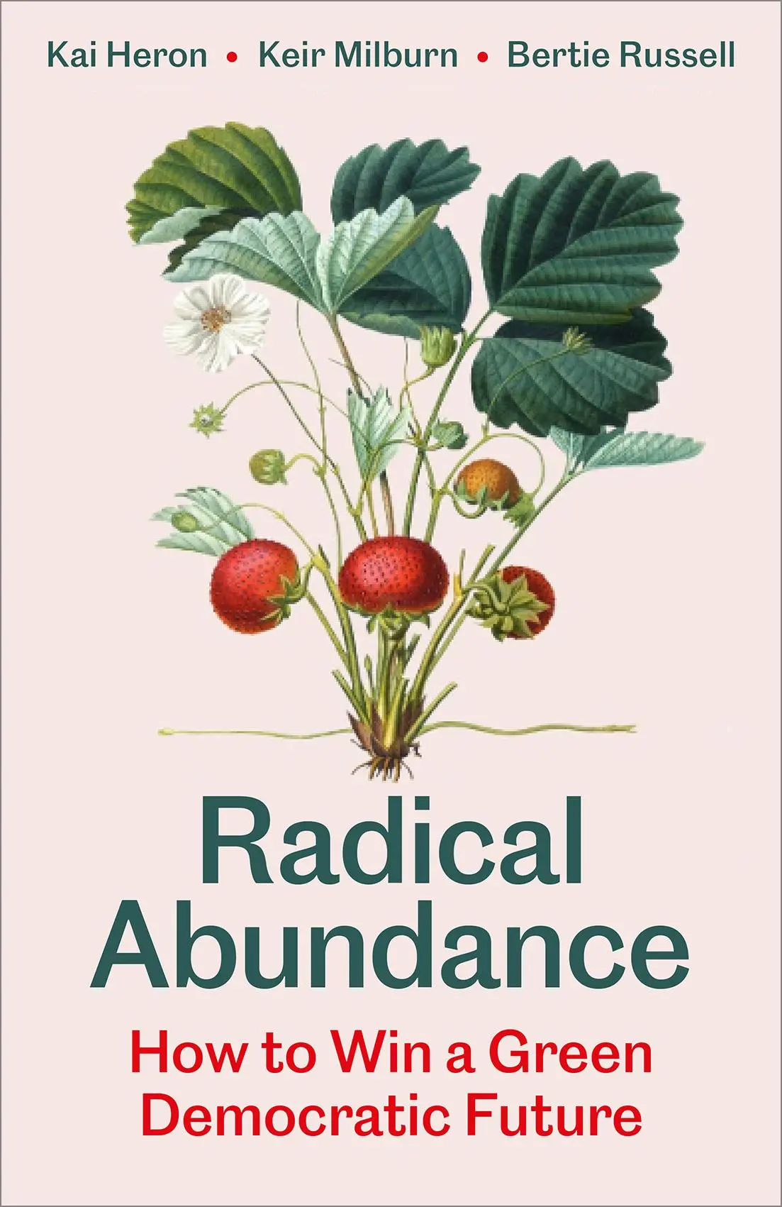 Cover: 9780745351353 | Radical Abundance | How to Win a Green Democratic Future | Taschenbuch