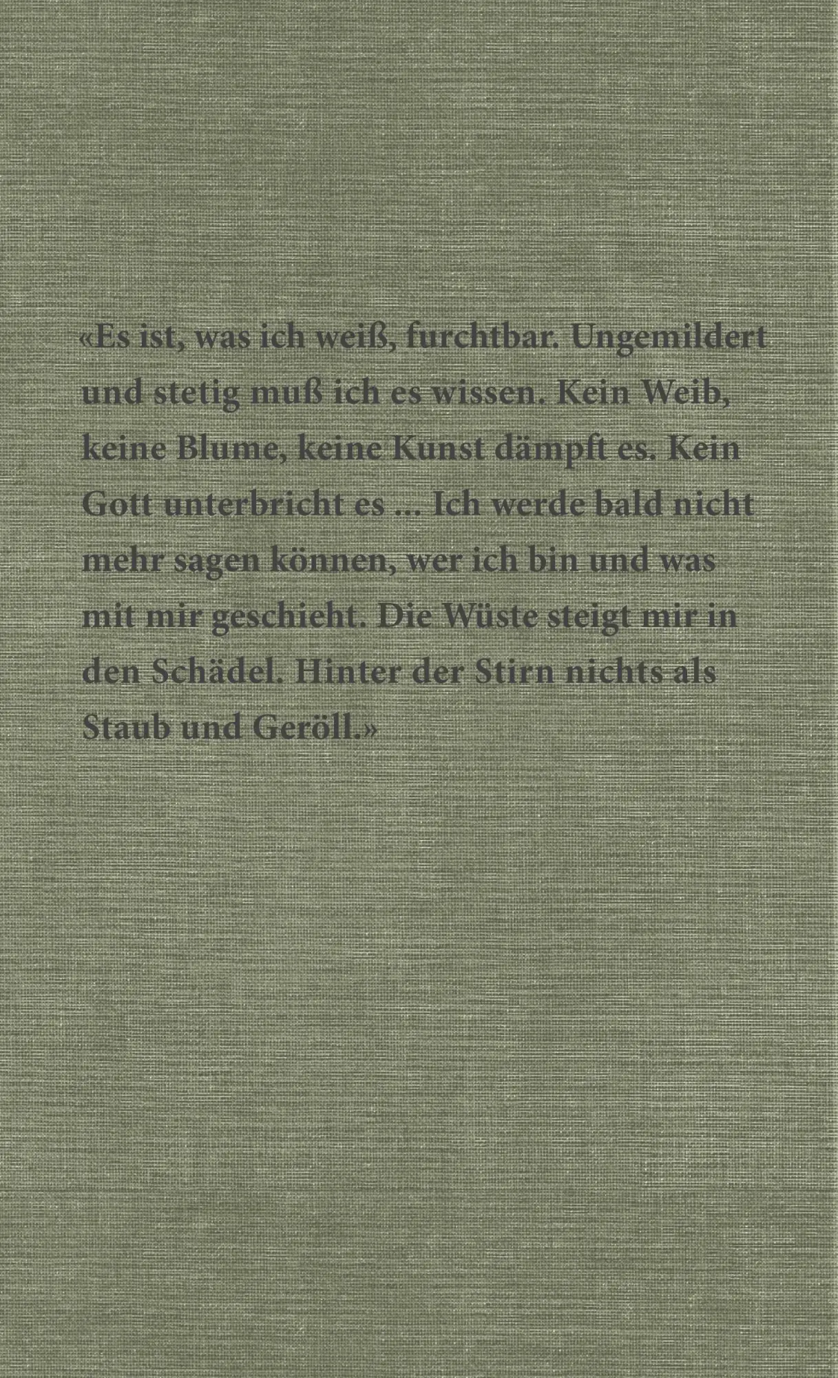 Rückseite: 9783498001353 | Saul | Botho Strauß | Buch | 96 S. | Deutsch | 2019