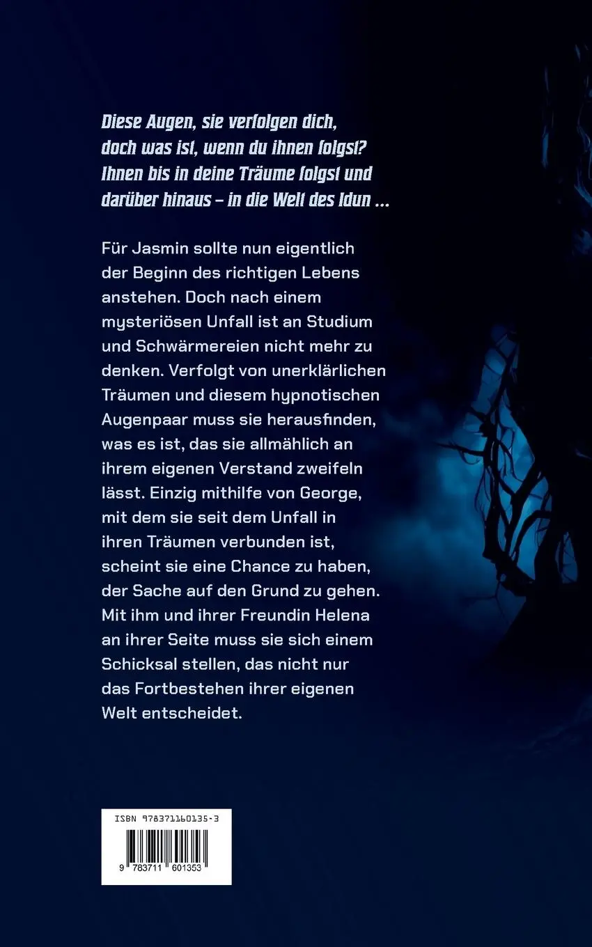 Rückseite: 9783711601353 | Die Welt des Idun | Hoffnung | Antje Soike | Taschenbuch | Deutsch