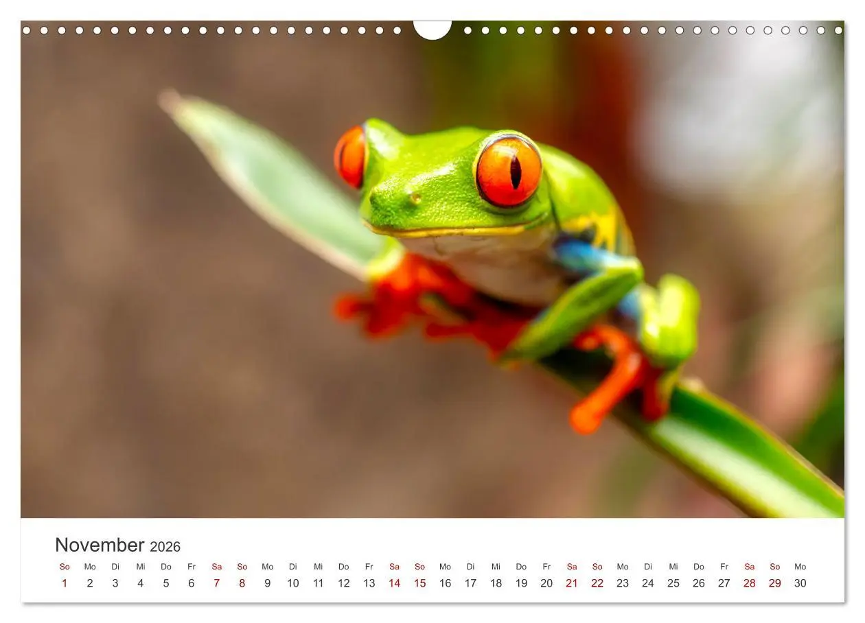 Bild: 9783457561553 | Nicaragua - Impressionen von Land und Tierwelt. (Wandkalender 2026...