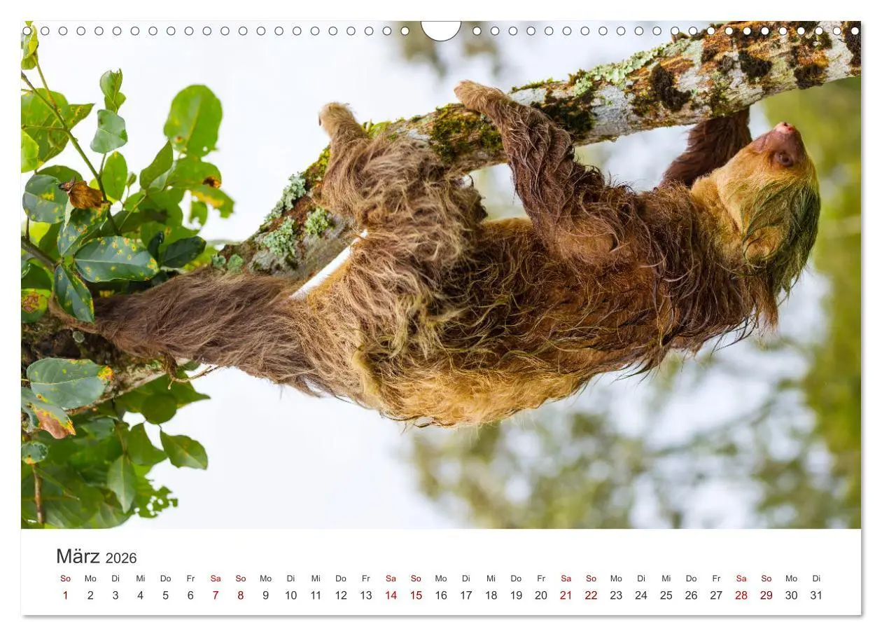 Bild: 9783457561553 | Nicaragua - Impressionen von Land und Tierwelt. (Wandkalender 2026...