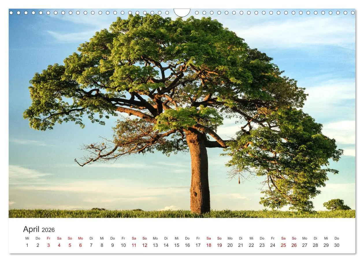 Bild: 9783457561553 | Nicaragua - Impressionen von Land und Tierwelt. (Wandkalender 2026...