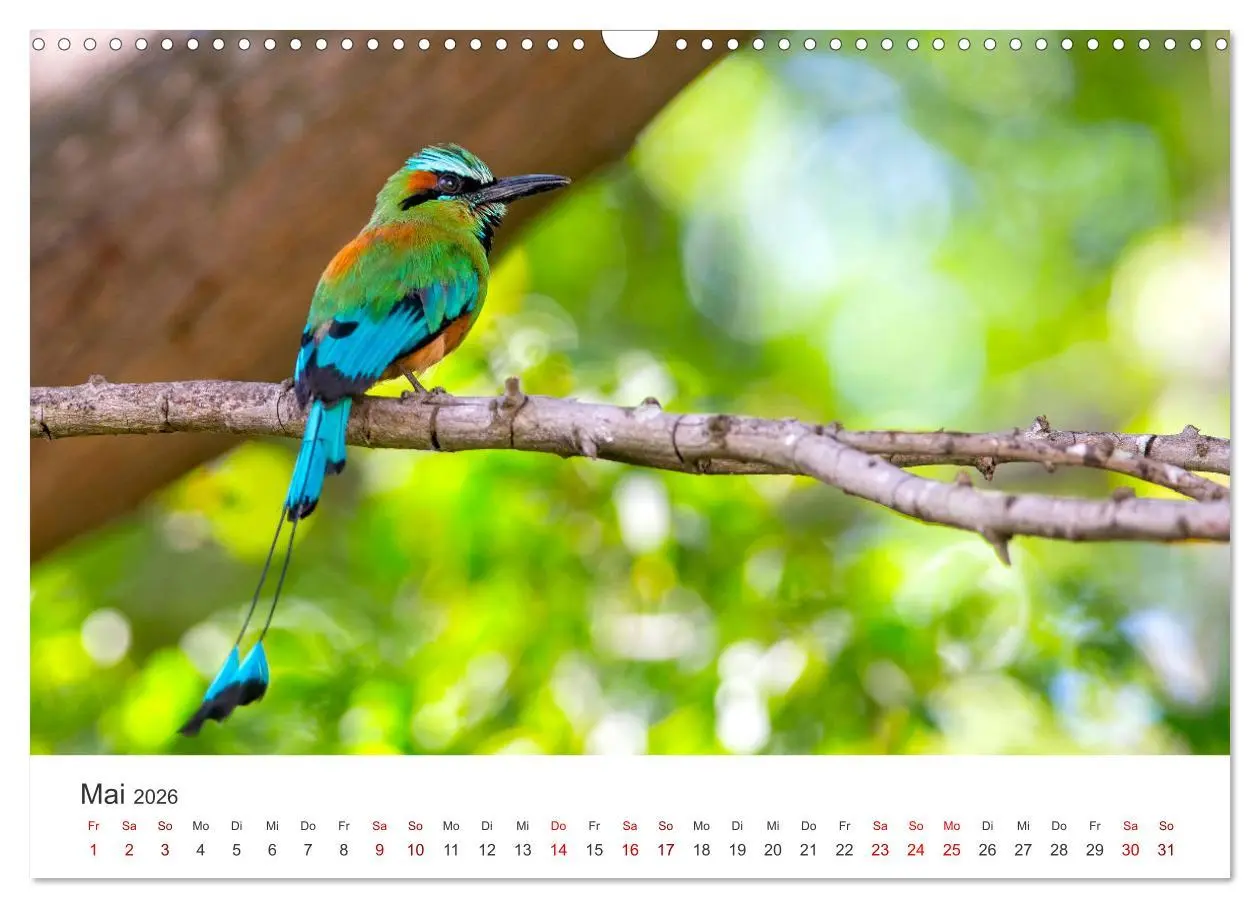 Bild: 9783457561553 | Nicaragua - Impressionen von Land und Tierwelt. (Wandkalender 2026...