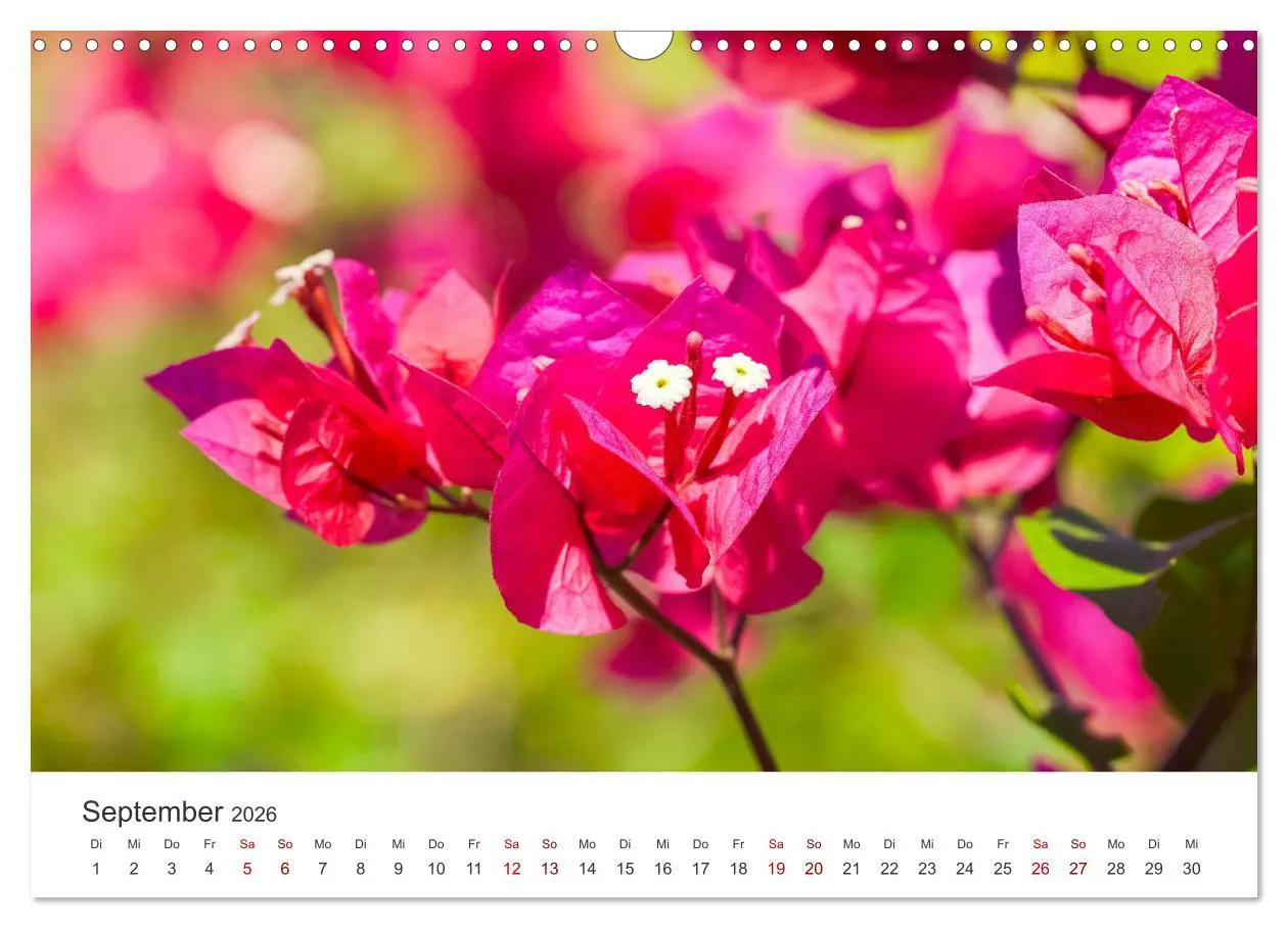 Bild: 9783457561553 | Nicaragua - Impressionen von Land und Tierwelt. (Wandkalender 2026...