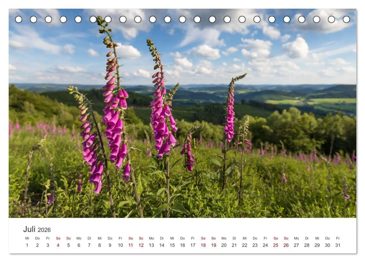 Bild: 9783457551653 | Das Sauerland im Wechsel der Jahreszeiten (Tischkalender 2026 DIN...