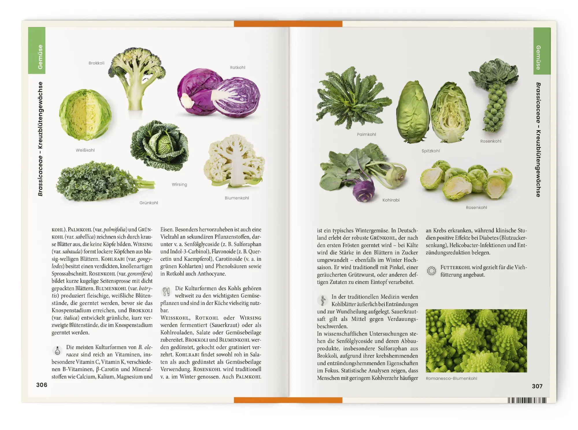 Bild: 9783968491653 | Was wir essen | Oliver Tackenberg | Buch | 896 S. | Deutsch | 2025