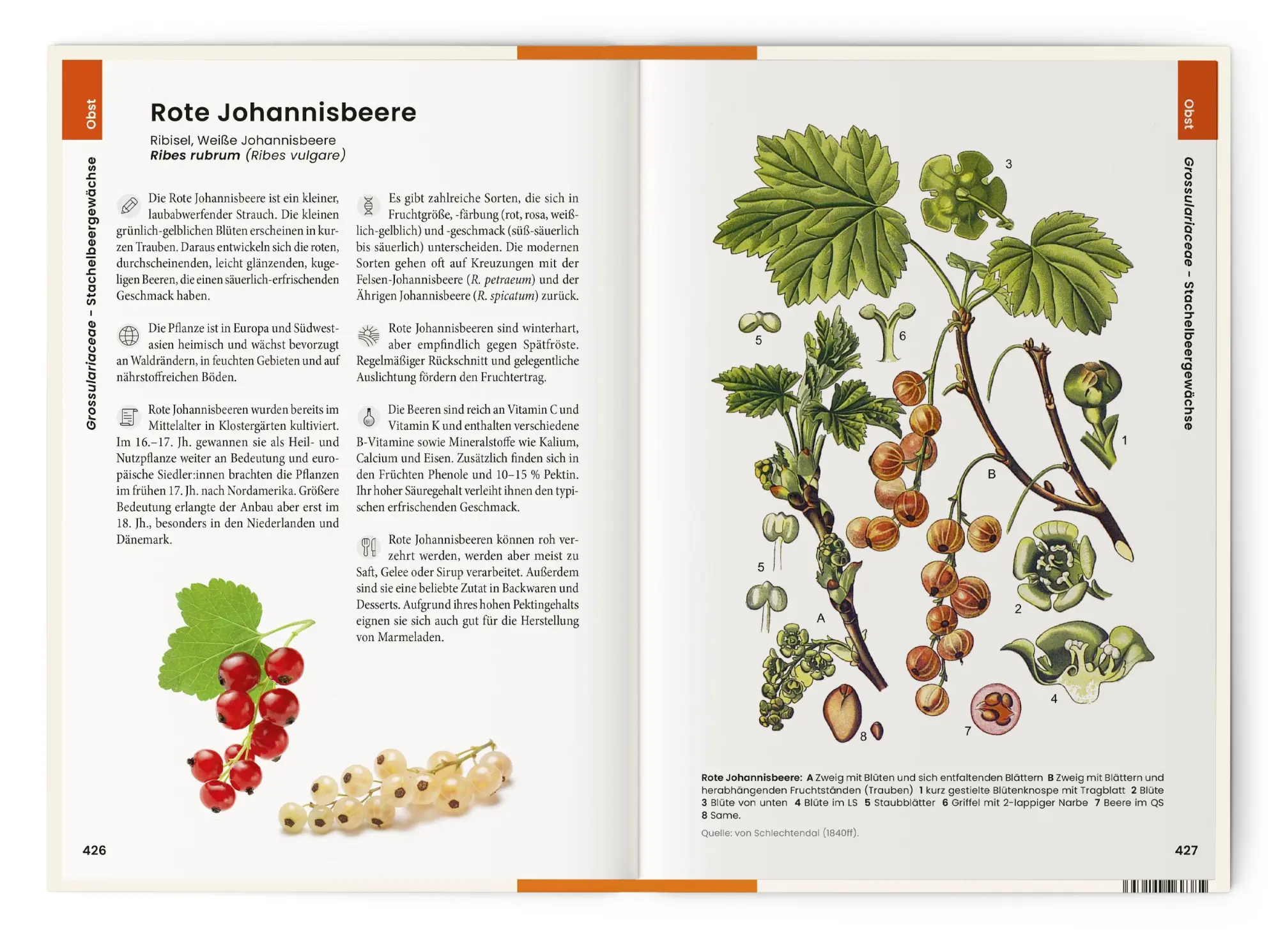 Bild: 9783968491653 | Was wir essen | Oliver Tackenberg | Buch | 896 S. | Deutsch | 2025